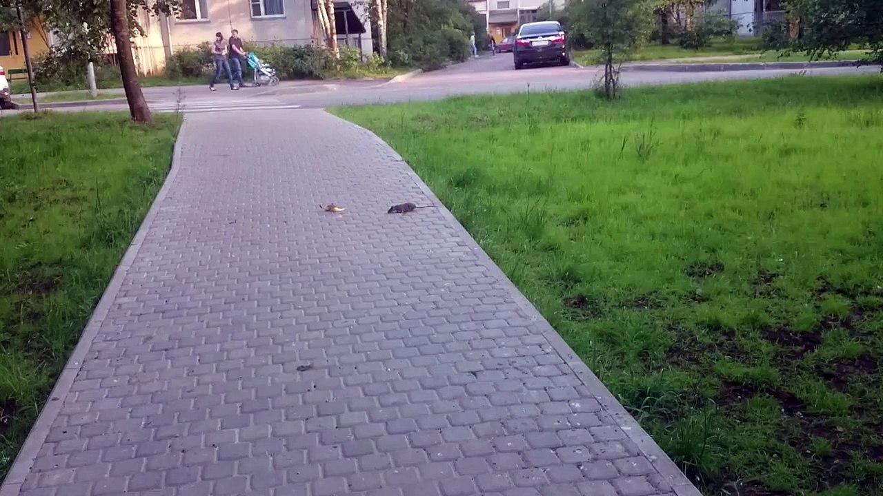 ---:-D-:-D