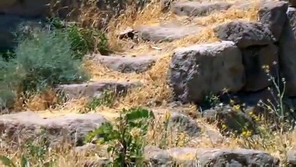 Equitrekking: Underground City in Turkey