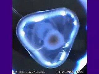 Magnetic Levitation, Nottingham
