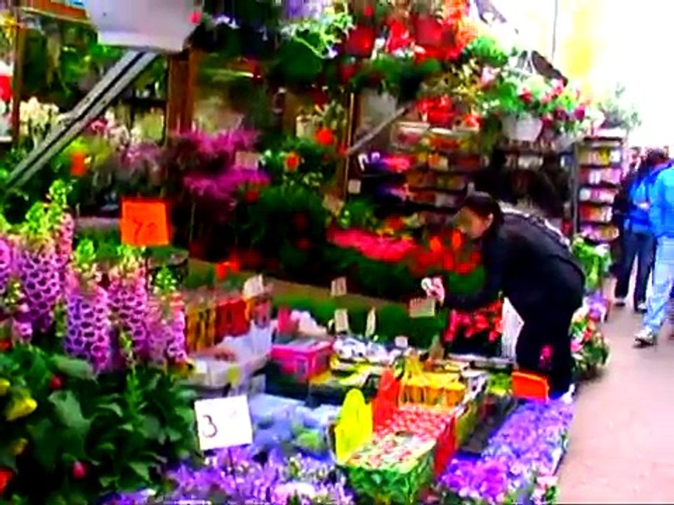 Holanda-Amsterdam-Mercado de  flores -Producciones Vicari (Juan Franco Lazzarini)