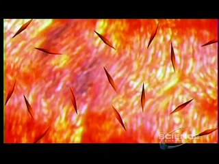 1of3 - Miracle Planet (Part02) Snowball Earth - First Complex Life