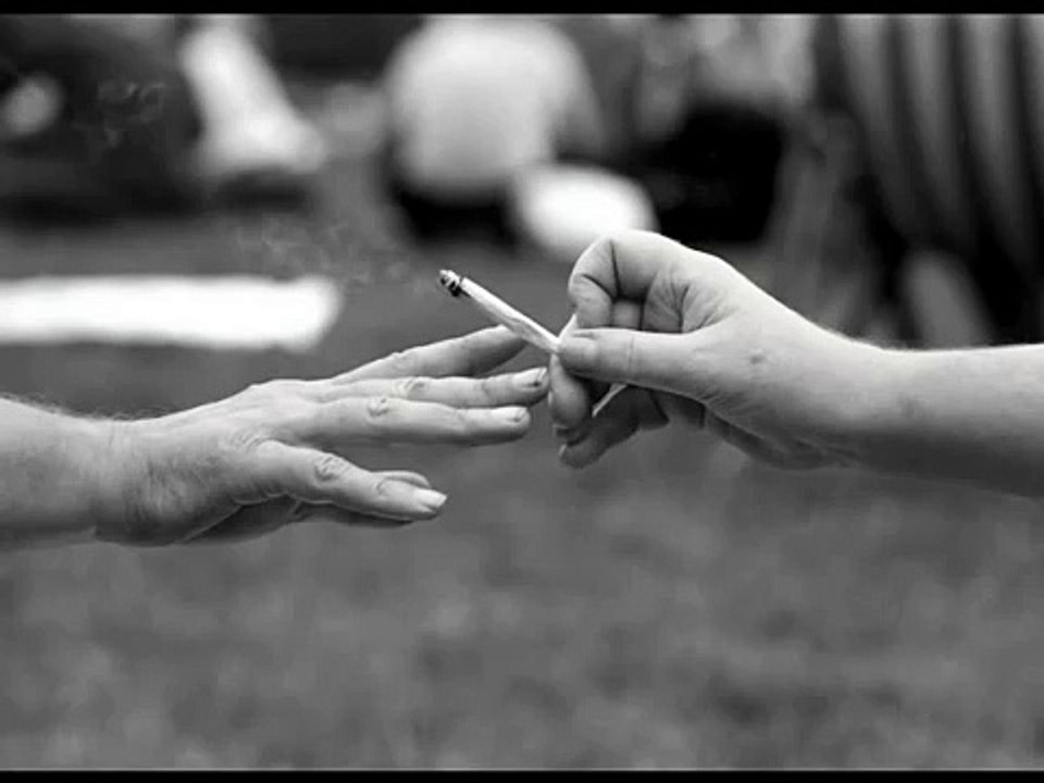 Gris - Kiff-Kiff Hurra :D