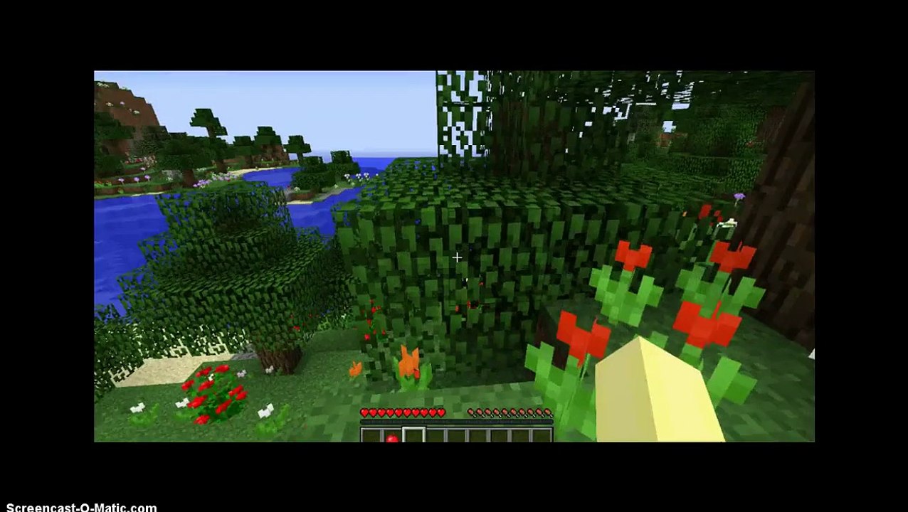 Fluttershy plays minecraft