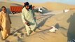 Pathan funy in saudi arab - da musafaro funny video