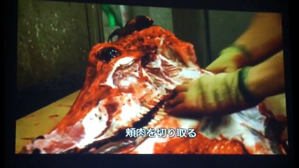食肉の裏側　960日のいのち