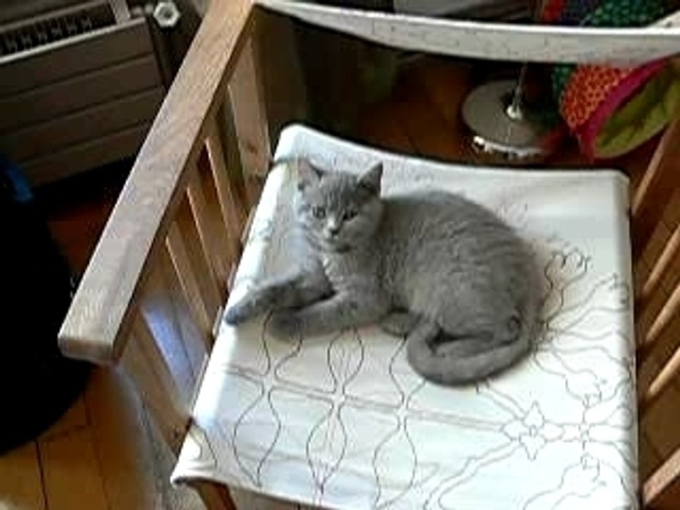 Mais qu'est ce qu'elle me veut celle là