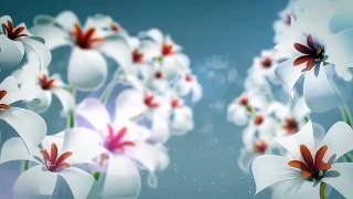 Elegant Nature Opener - After Effects Project Files | VideoHive 10335915