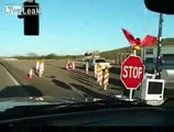 Homeland Security Checkpoint - Unconstitutional (part 1/4)