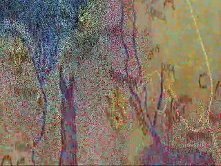 Antica Tradizione - Alessandro