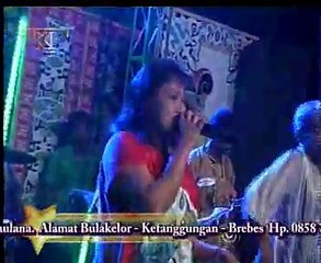 ORA PERCAYA mimi carimi @ Organ DUA DARA MUSIC Ketanggungan Brebes Clip KD Studio Larangan Brebes