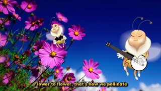 Hashem's World of Wonder - Bee Amazing!