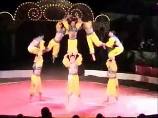 Shaffik the Acrobat 🤸‍♂️