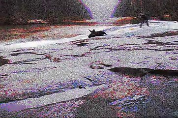 White Water Stand Up Paddle Boarding