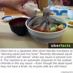 Odri-don a Japanese dish.