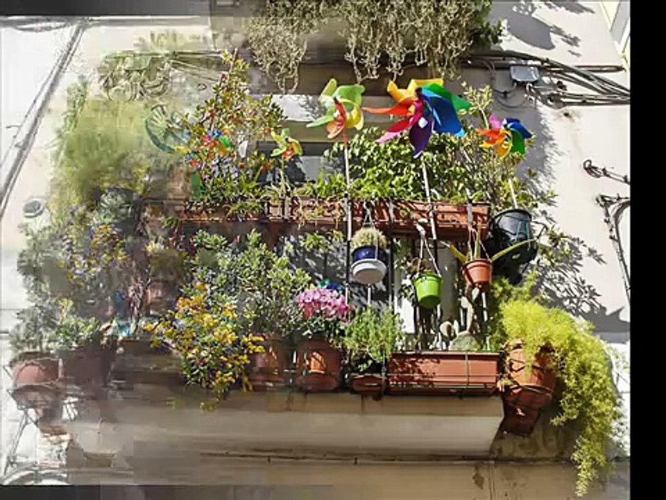 BARI camminando a testa in su