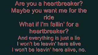 Heartbreaker - Pink - Lyrics