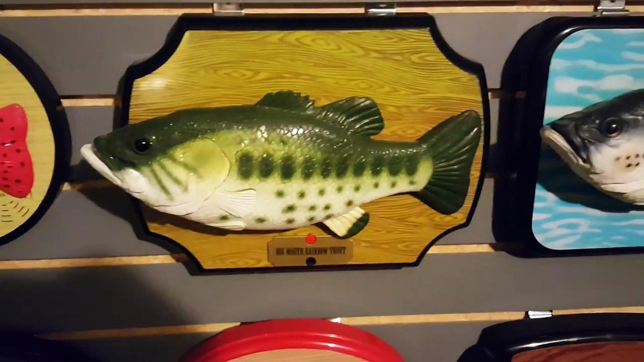 singing fish collection update