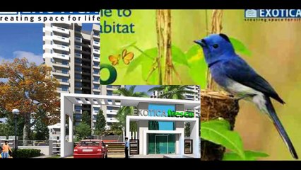 Exotica Fresco Residential Flats Apartment