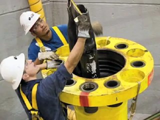 Bill Ryan from Project Avalon on the Gulf Oil Catastrophe - and more