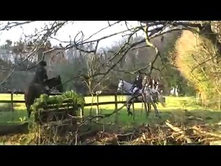 bray harriers - St. Stephens Day hunt ashford