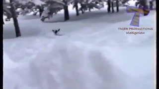 Funny dogs and cats playing in the snow Funny animal compilation