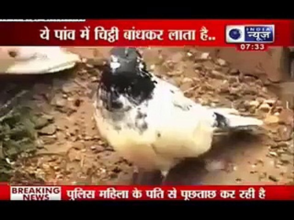 بھارت کا پاکستان پر ایسا الزام جسے دیکھ کر آپ ہنس ہنس کر لوت پوت ہوجائیں گے،ویڈیو دیکھیں