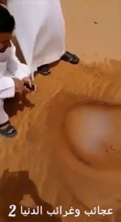 سبحان الله خدا کی قدرت کا ایک ایسا معجزہ جسے دیکھ کر آپ حیران رہ جاؤ گے