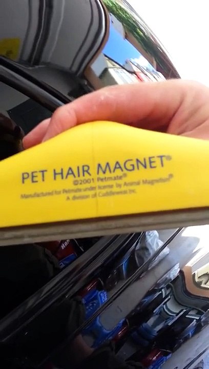 Pet hair problems not a problem with pet hair magn