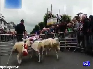 dilchasp o ajeen and cute videos must watch.