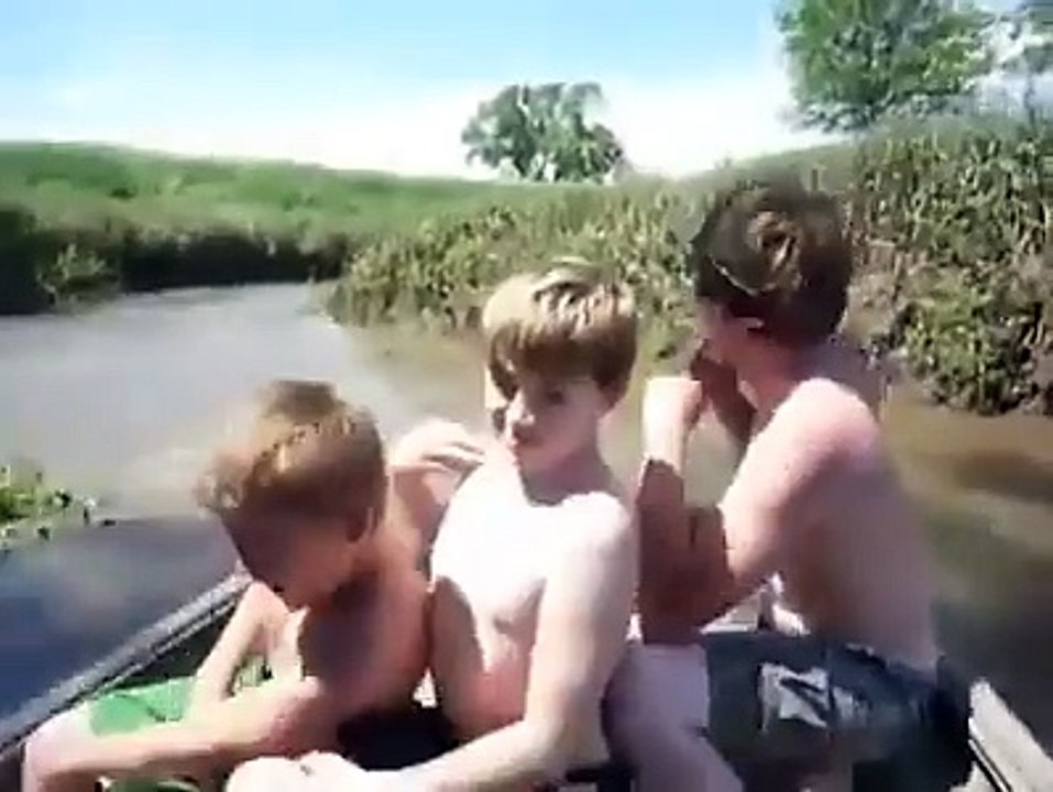 Poissons sauteurs