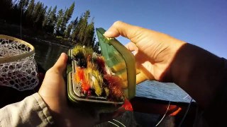 Fly Fishing Elk Lake 2015