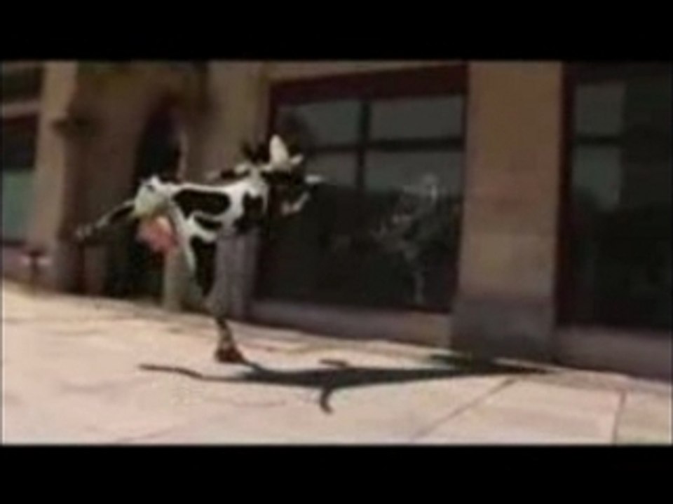 Crazy Cow I Like To Moo