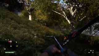 Far Cry 4 funny and epic moments part 5