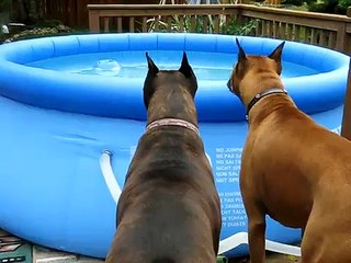 279 15 16..yenimahalle ŞENTEPE DEMİRDÖKÜM KOMBİ SRV.