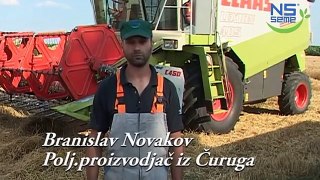 Milorad Milinkov i Branislav Novakov iz Čuruga - Žetva NS SEME sorti pšenice
