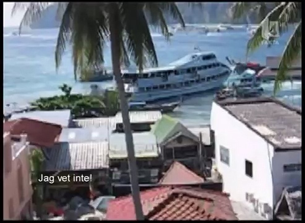 Timmarna efter tsunamin