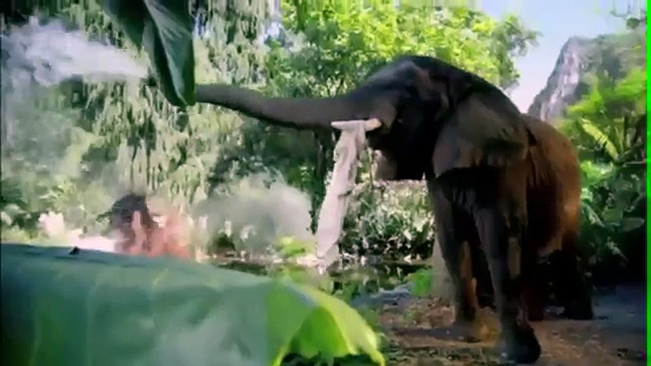 Мультфильмы для детей 2014,  "ВЕЛИКОЛЕПНЫЙ ЛЕС", мультфильмы, мультфильмы советские, маша и медведь