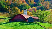Picture Of Beautiful Picture | Best Picture Of Beautiful Picture Compilation