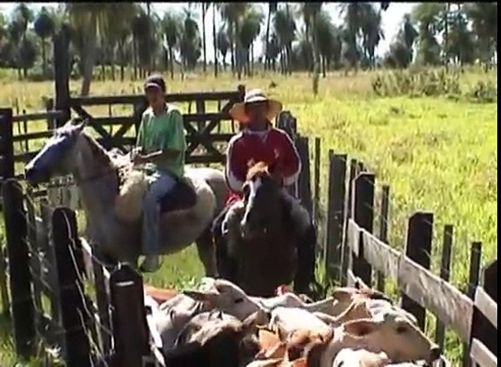 Granja Ytu 004