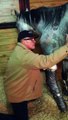 See how A Wounded Warrior Veteran & an abused horse named Spirit help each other.