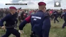Hungarian camera woman caught on video kicking and tripping migrants