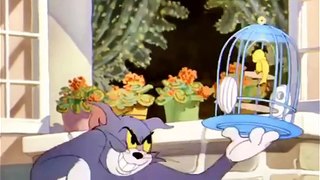 Tom And Jerry cartoon - The flying cat | мультфильмы 2015 - Том и Джерри мультфильм - летать кошка
