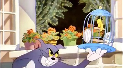 Tom And Jerry cartoon - The flying cat | мультфильмы 2015 - Том и Джерри мультфильм - летать кошка