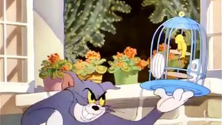 Tom and jerry cartoon - The flying cat