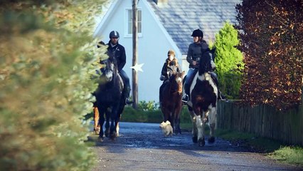 Kuzey İrlanda’da Eğitim
