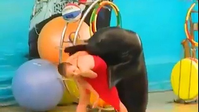 Khoobsorat Larki Aur Is Janwar Ny Aapas Main Kia Kia Kr Dala