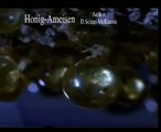 Honigameisen Ameisen Tiere Animals Natur SelMcKenzie Selzer-McKenzie