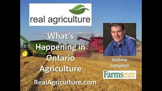 What's Happening in Ontario Agriculture (July 26, 2010) - Andrew Campbell, Farms.com