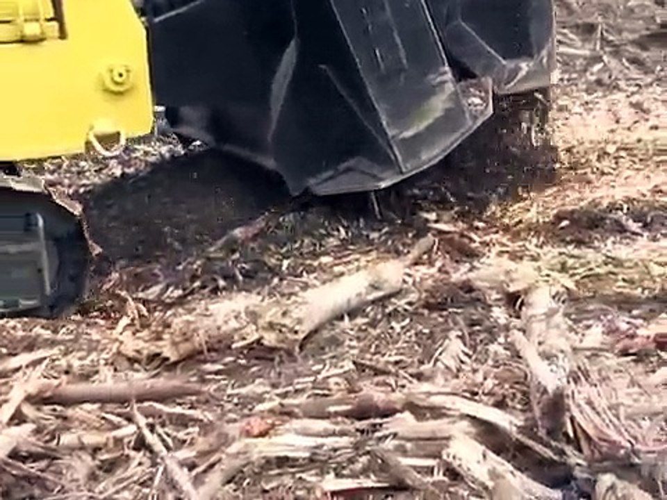 Tre-etas mulching machine eating a log