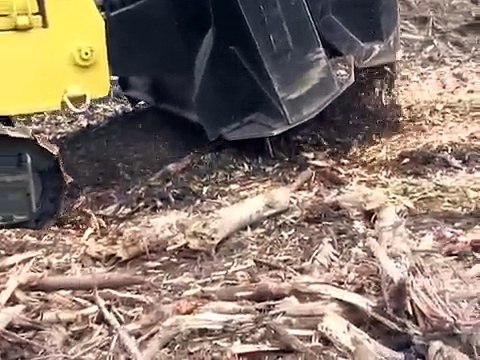 Tre-etas mulching machine eating a log